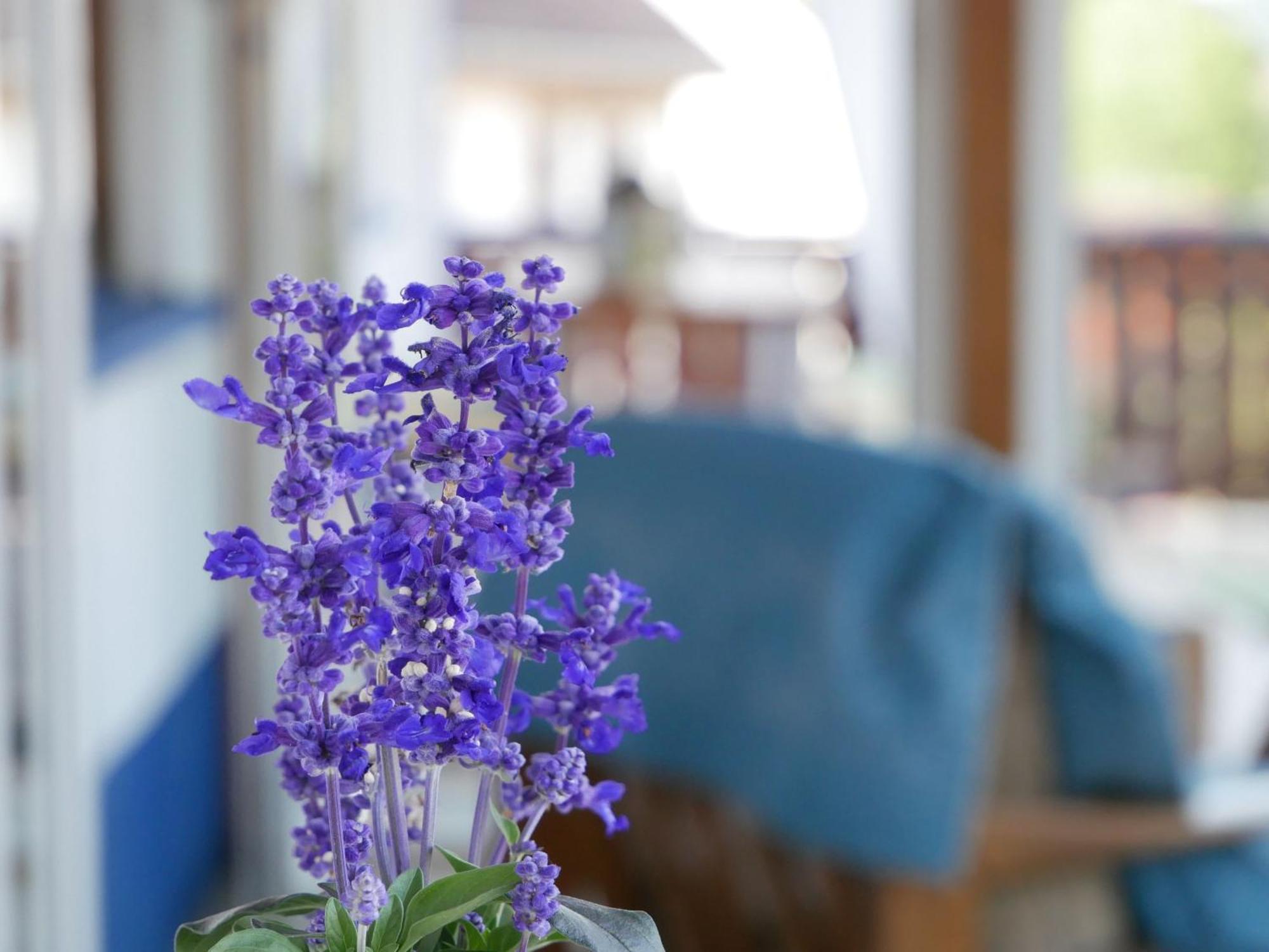 Haus Camino Apartment โลฟฟิงเกน ภายนอก รูปภาพ
